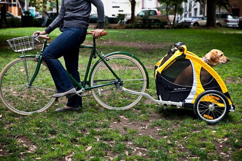 best dog bike trailer
