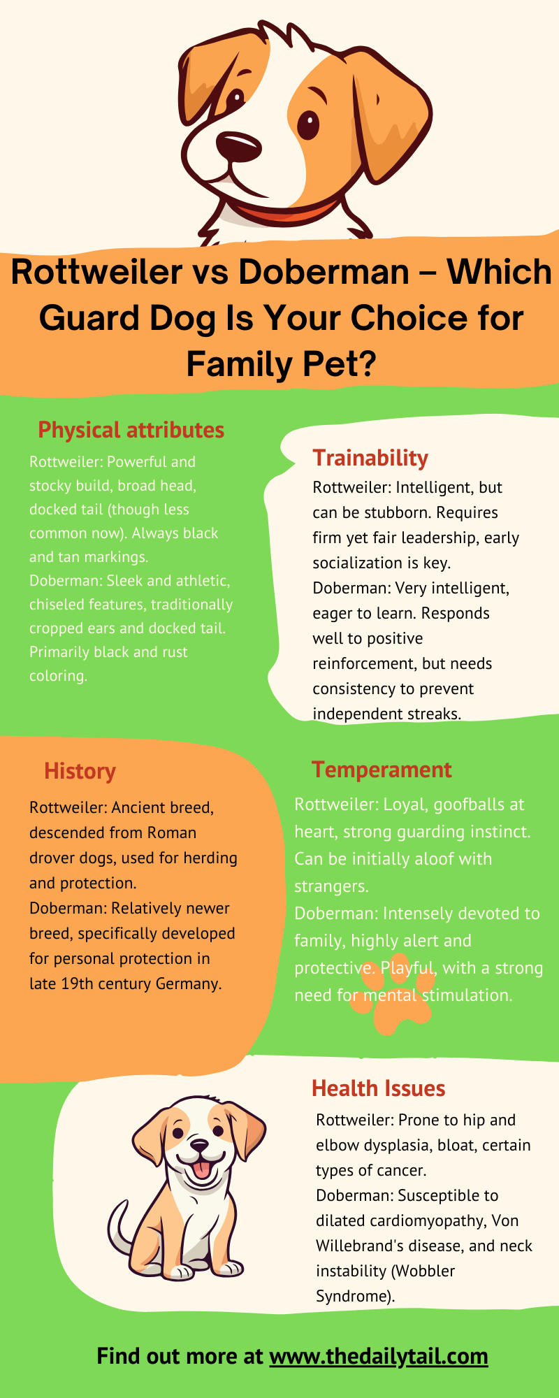 rottweiler vs dobeman infographic