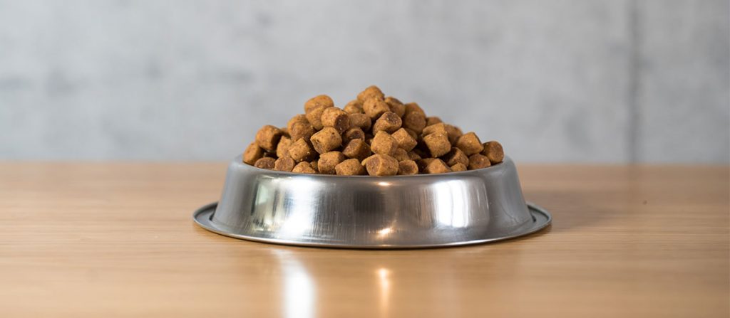 Dehydrated Dog Food