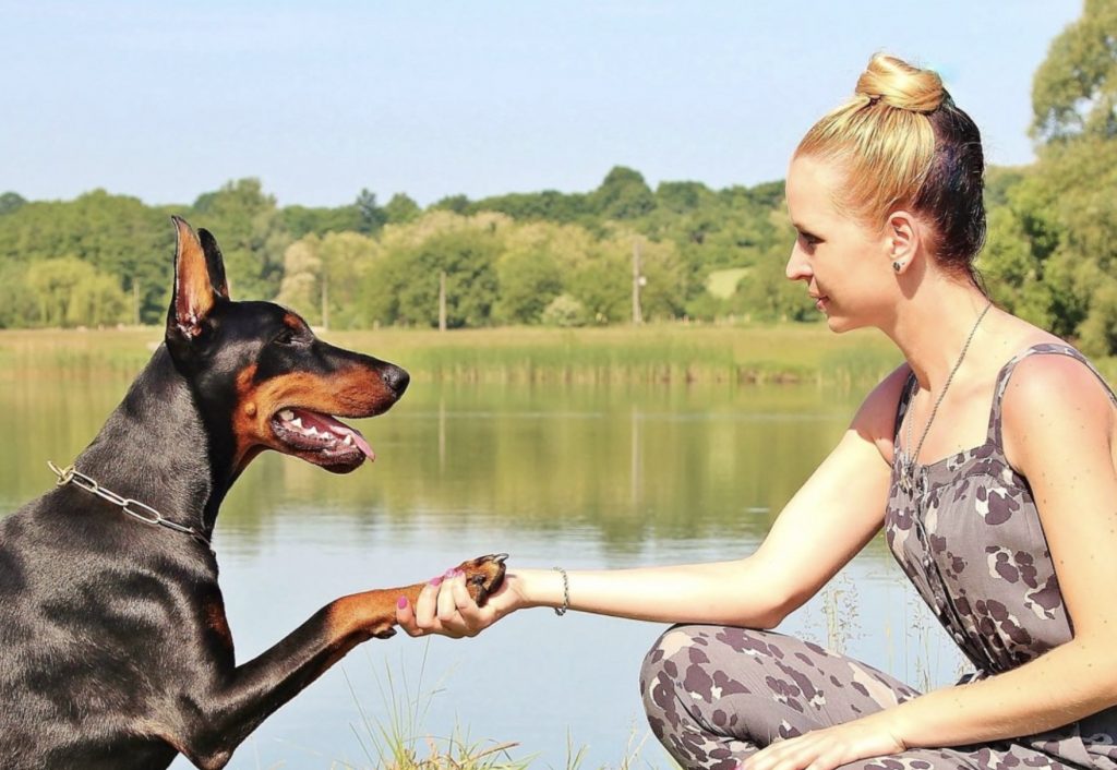 Screenshot 2021 08 12 at 16.28.59