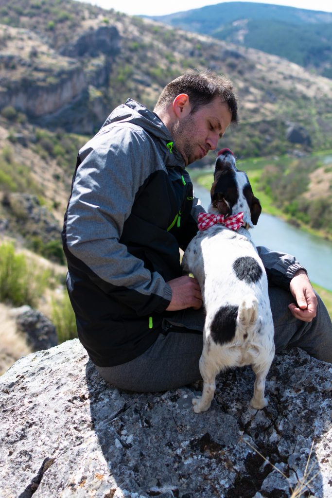 Best Dog Breeds For Hiking – Find Your Trail Partner 7 bg