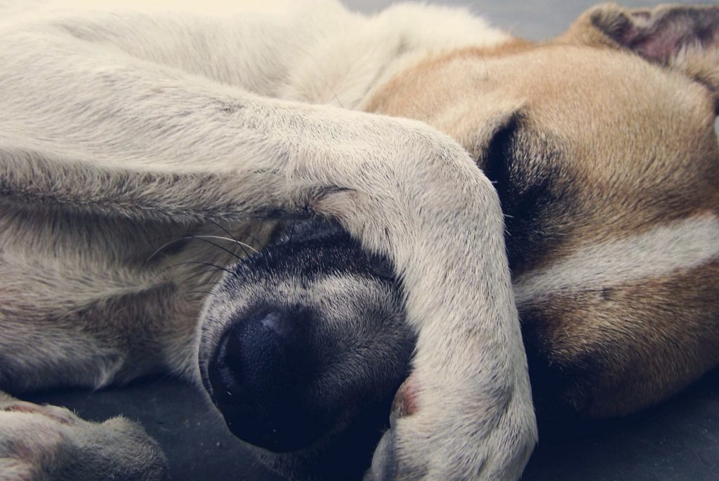 Screenshot 2021 10 04 at 09.08.44