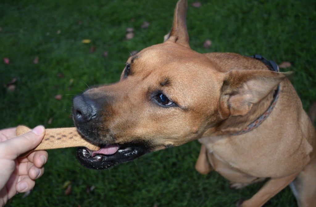 Screenshot 2021 10 05 at 11.34.12