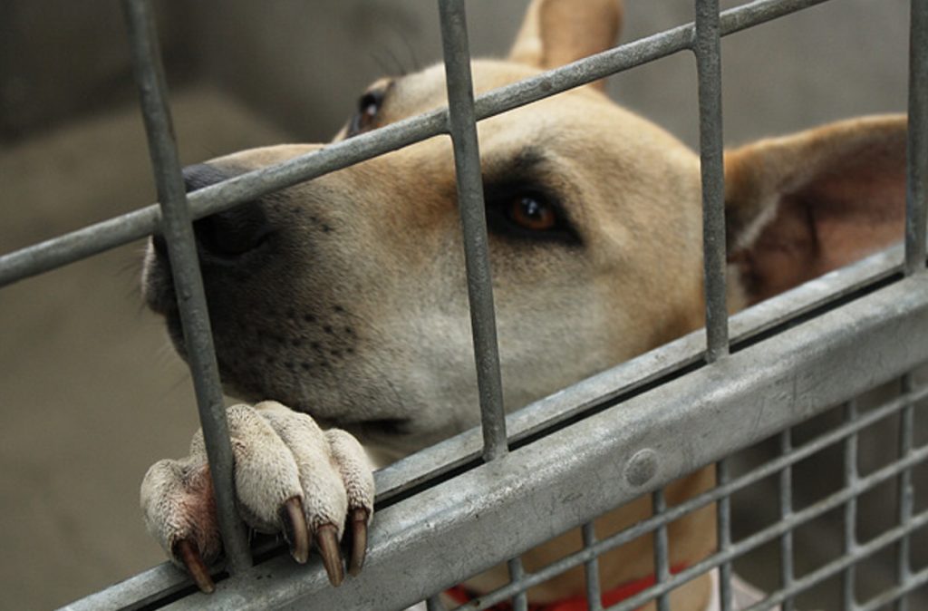 Screenshot 2021 10 08 at 08.20.26