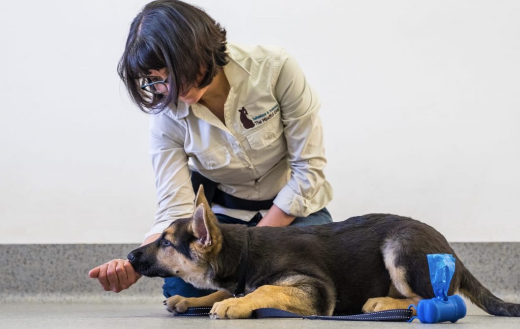 Screenshot 2021 12 03 at 08.40.33