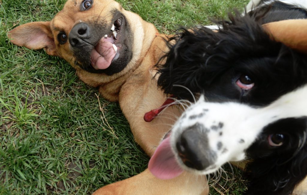 Screenshot 2021 12 07 at 08.43.07