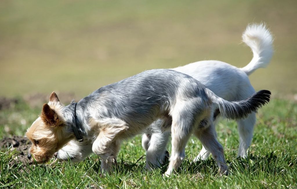 Screenshot 2021 12 14 at 08.41.43