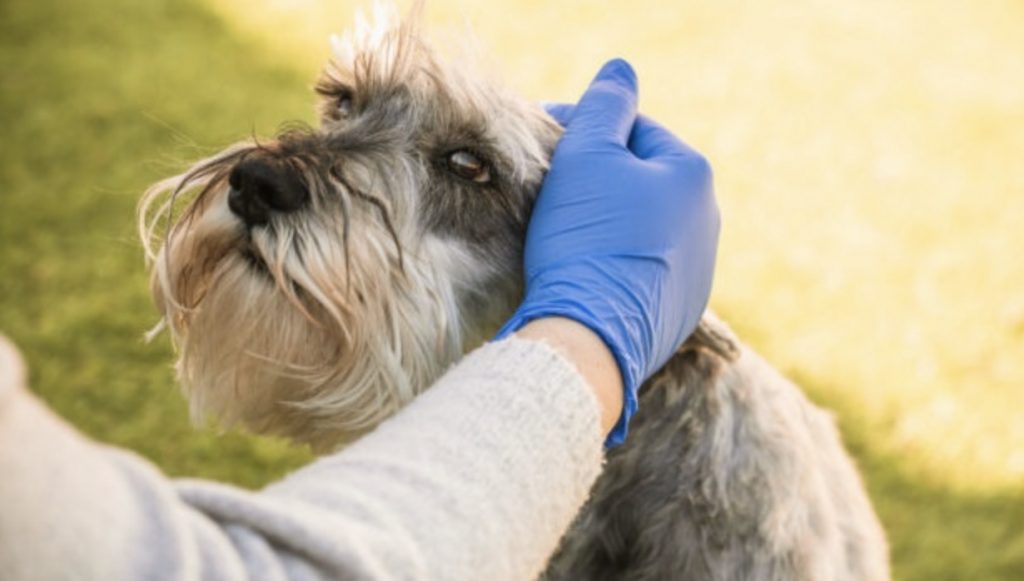 Screenshot 2021 12 15 at 08.54.06