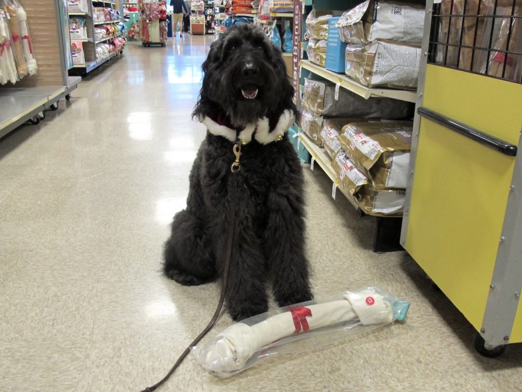 Screenshot 2021 12 17 at 10.25.32