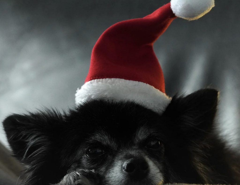 Screenshot 2021 12 20 at 19.48.42