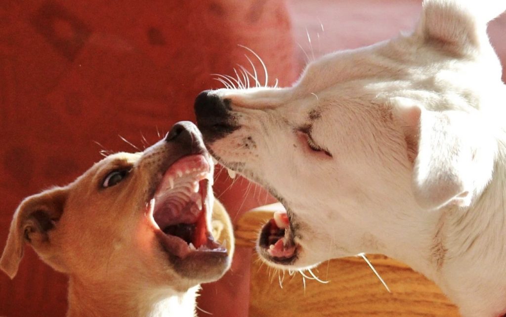 Screenshot 2021 12 30 at 10.35.59