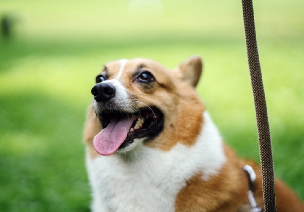 Screenshot 2022 01 04 at 14.55.19