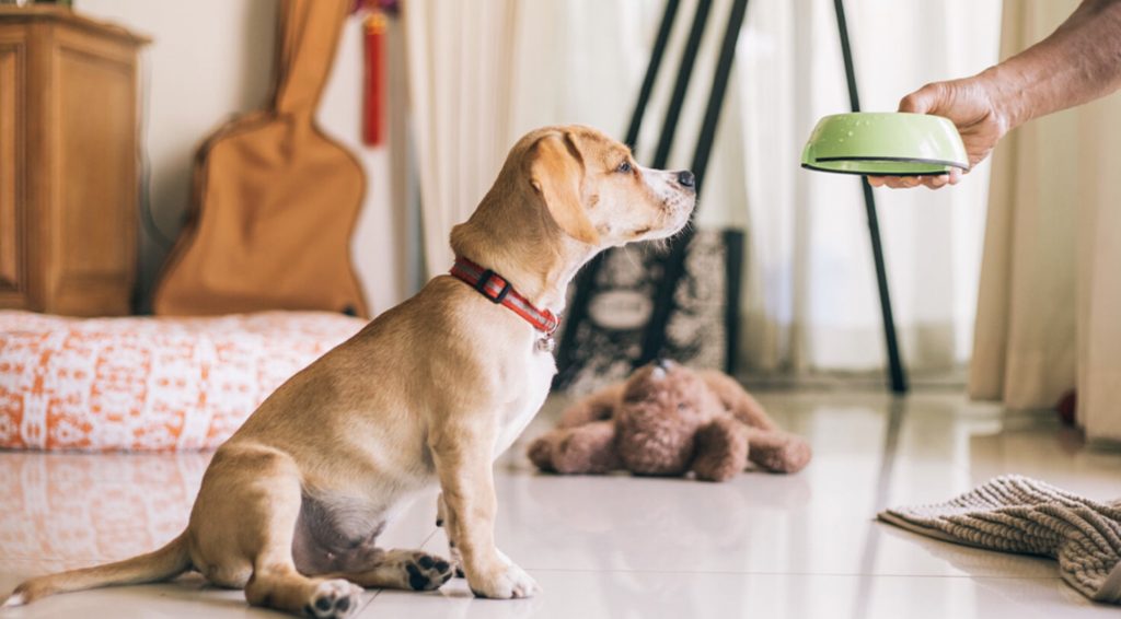 Screenshot 2022 01 18 at 09.27.45