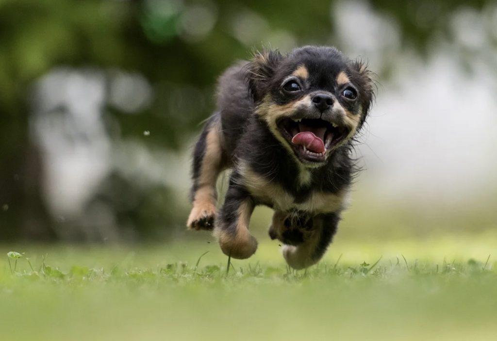 Screenshot 2022 01 19 at 10.16.41