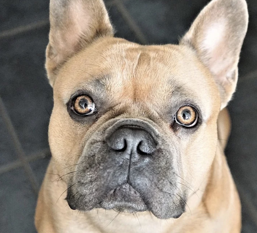 Three Techniques to Reduce Unwanted Behavior 23 Screenshot 2022 01 20 at 09.41.26