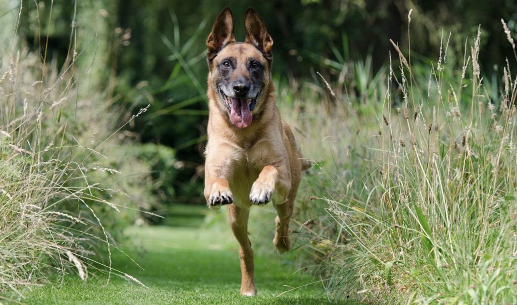 Top 3 Recall Tricks You Can Use to Improve Your Recall game 3 Screenshot 2022 04 25 at 09.47.04