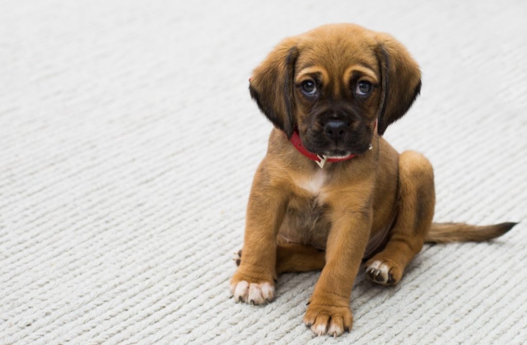 Training at Home – How To Do It And Why? 21 Screenshot 2022 05 04 at 09.49.34