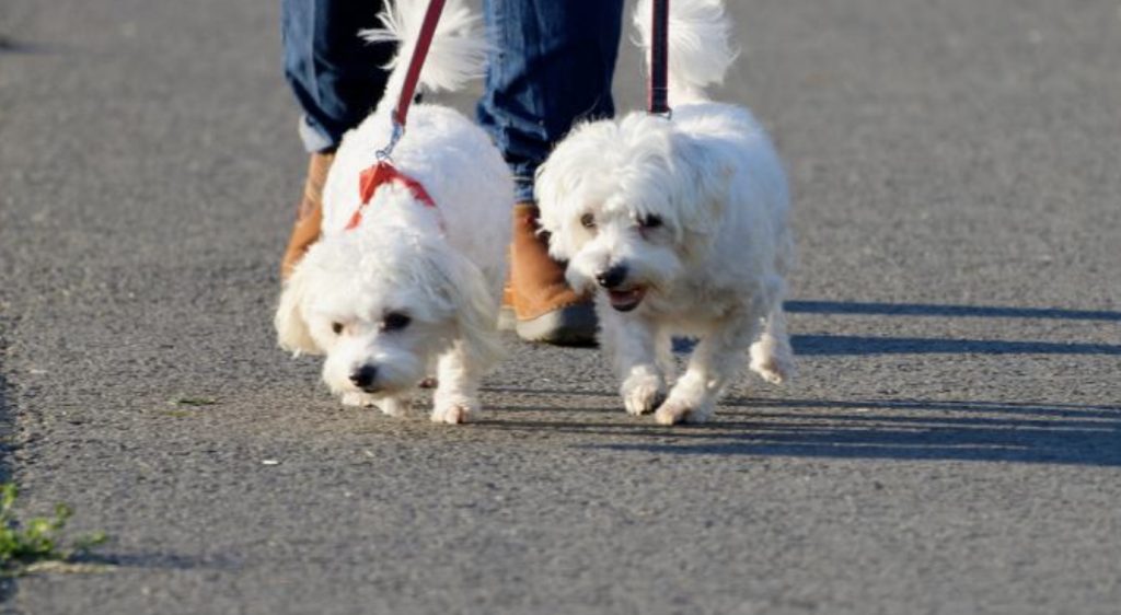 Structured Walk - What is it? 23 Screenshot 2022 05 25 at 09.14.58