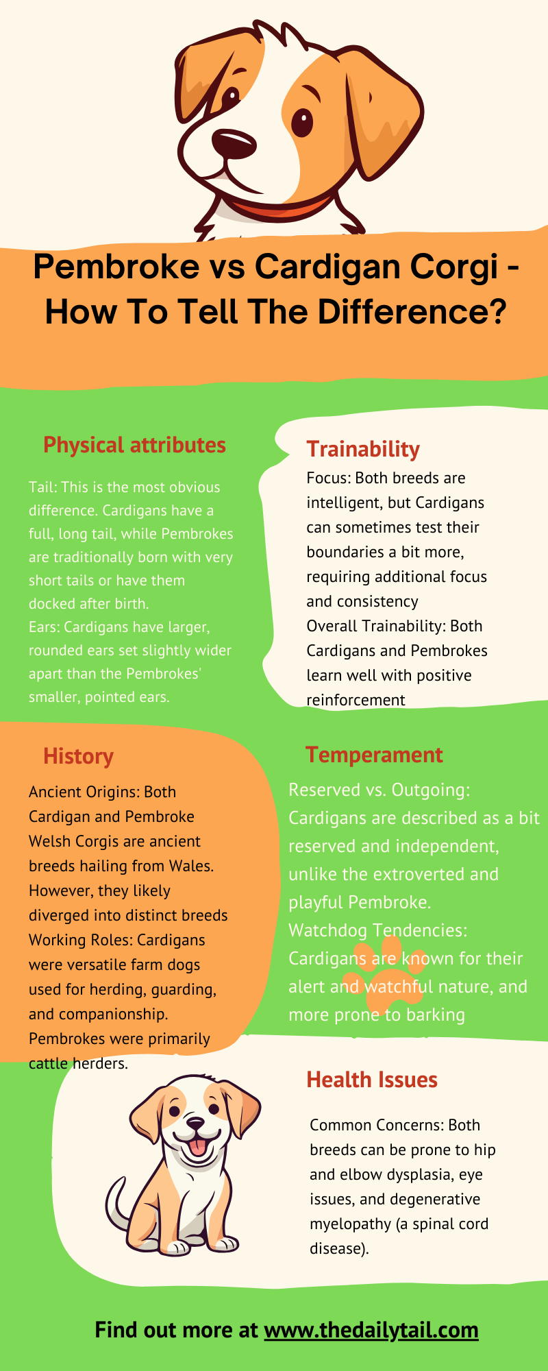 Pembroke vs Cardigan Corgi Infographic