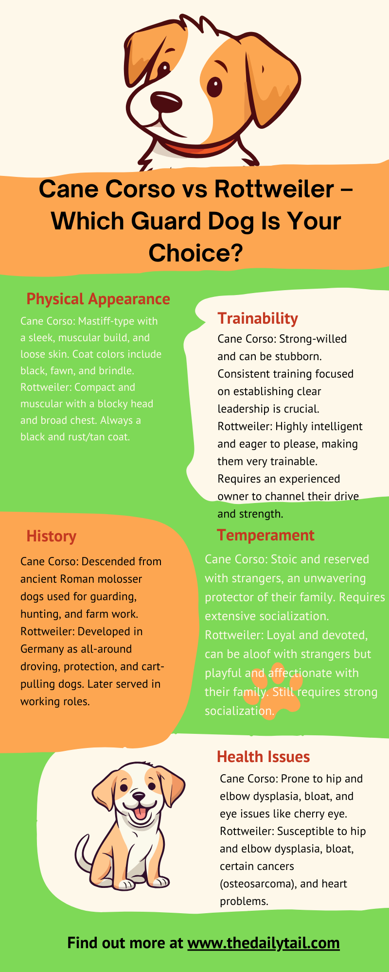cane corso vs rottweiler infographic