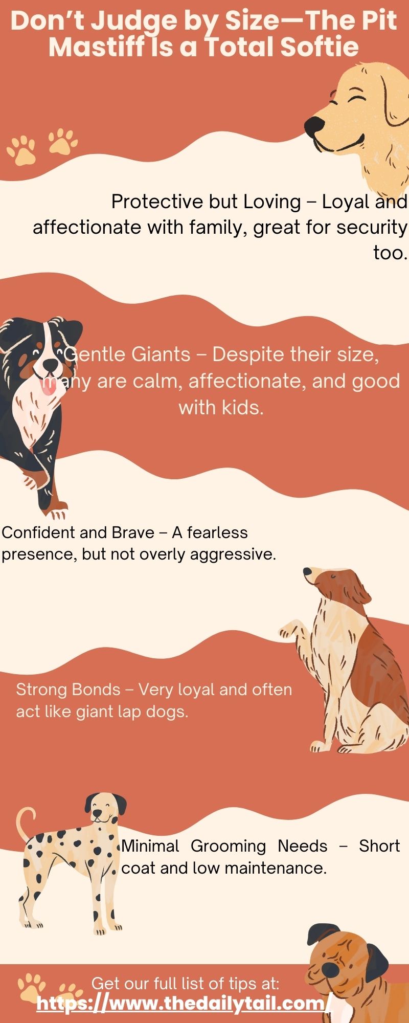 pitbull mastiff mix infographic