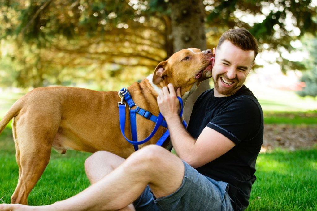 dog licking1