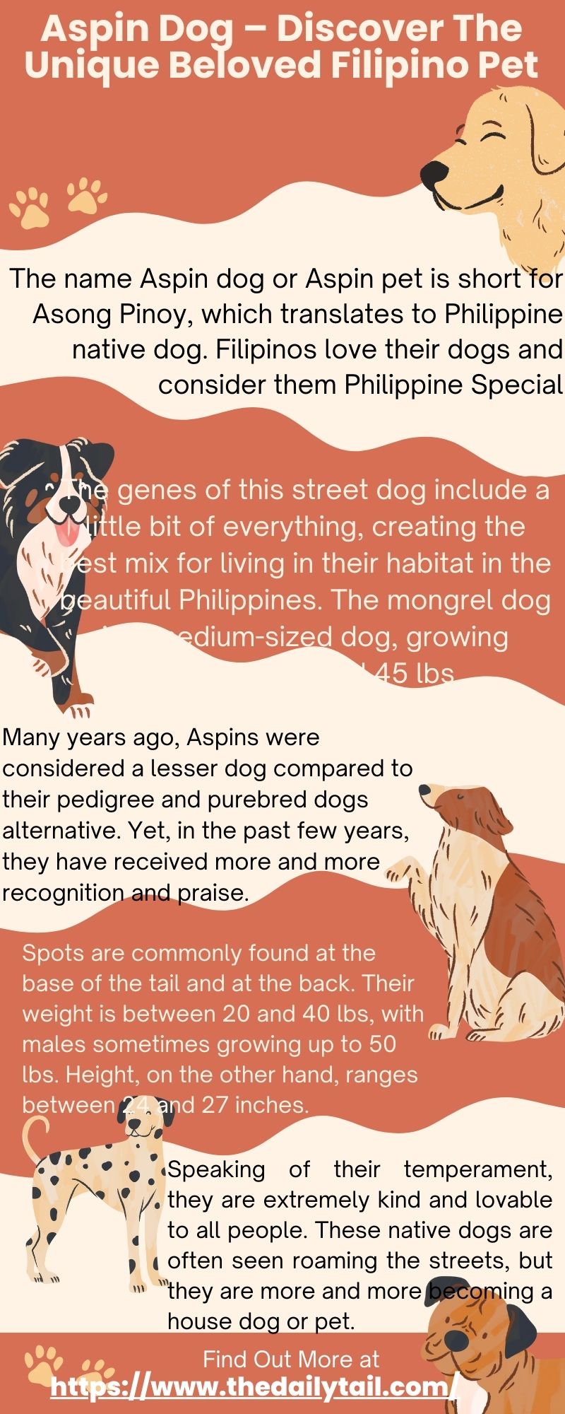 aspin dog infographic