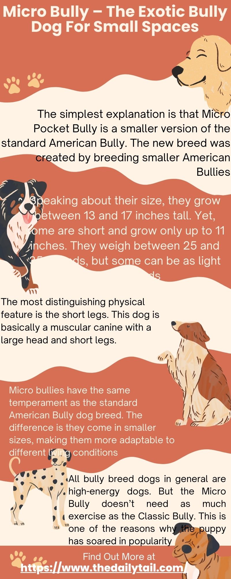 micro bully infographic