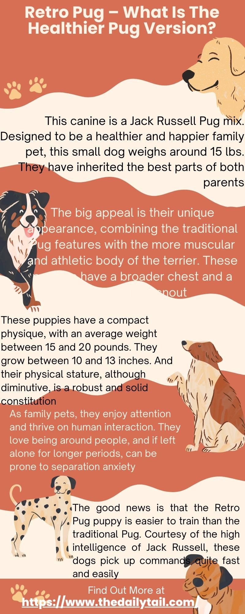 Retro Pug – What Is The Healthier Pug Version? 3 retro pug infographic