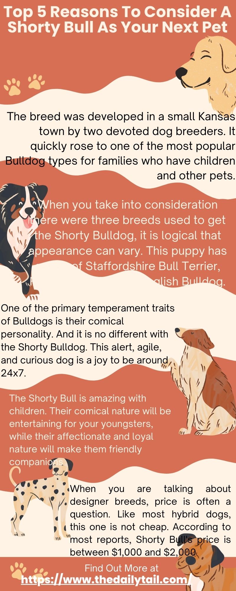 shorty bull infographic