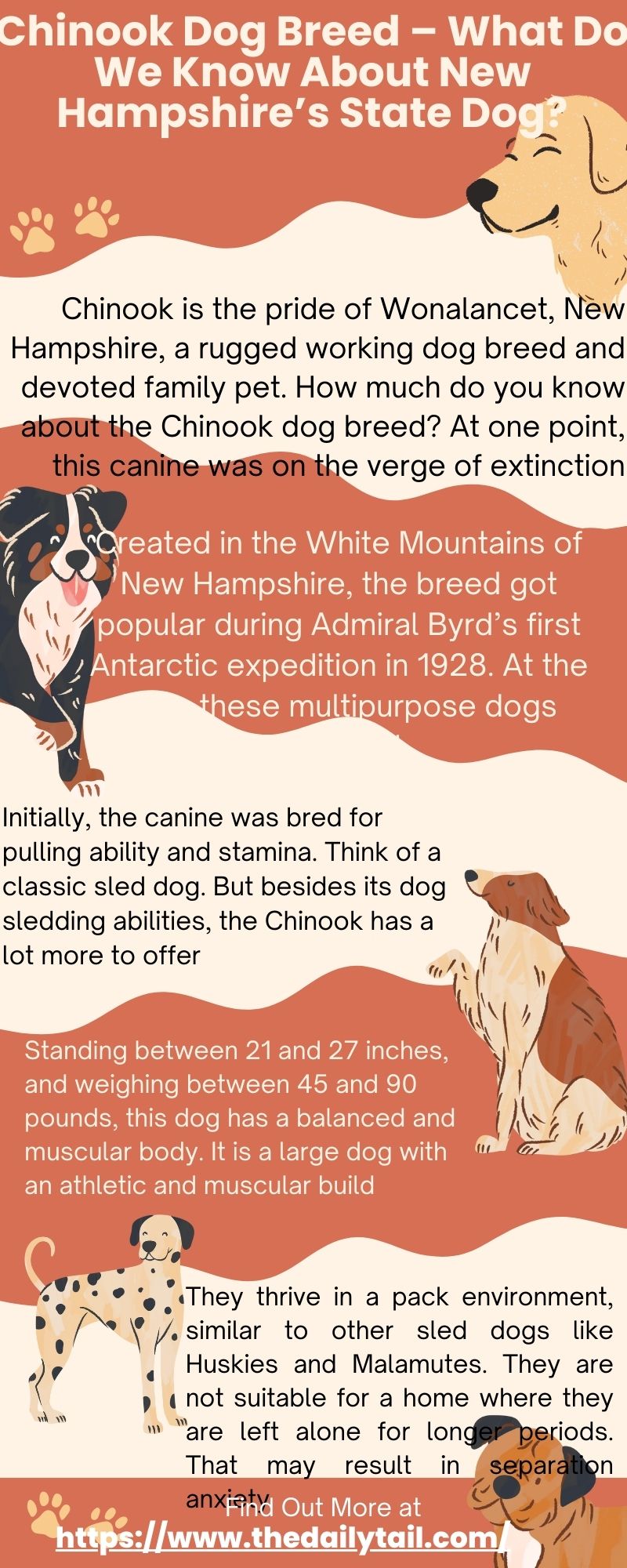 Chinook Dog Breed – What Do We Know About New Hampshire’s State Dog? 5 chinook dog breed infographic
