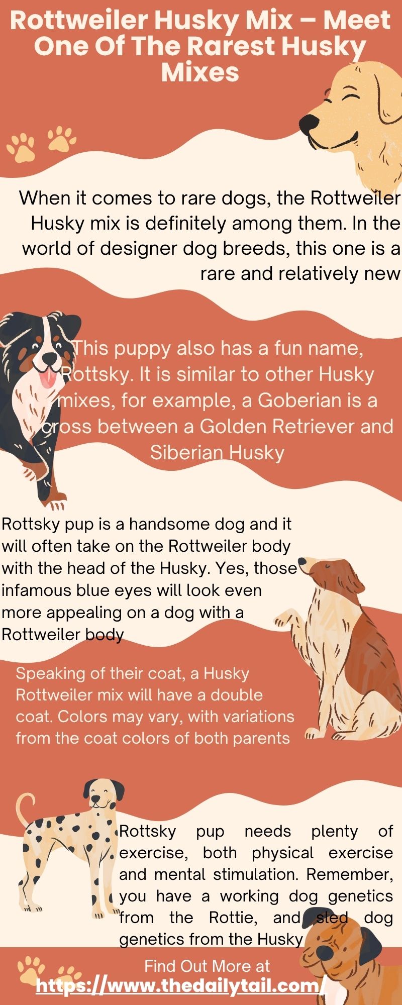 rottweiler husky mix infographic