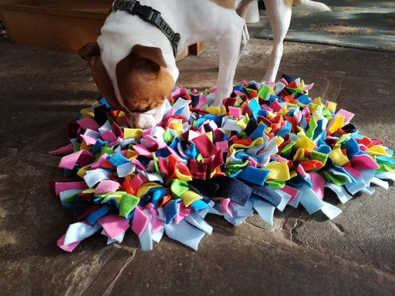 diy dog toy4