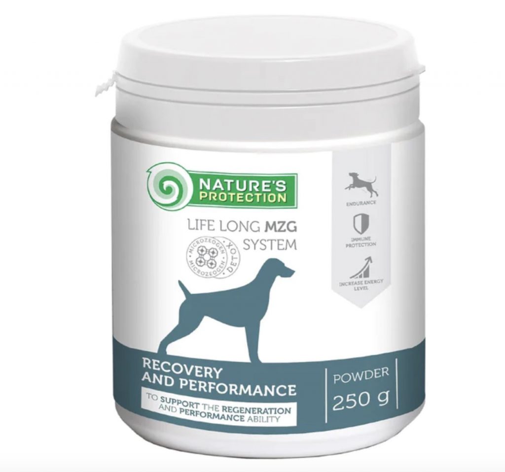 The Importance of Omega-3 and Omega-6 Fatty Acids in Dog Food 26 Screenshot 2023 10 06 at 08.10.35