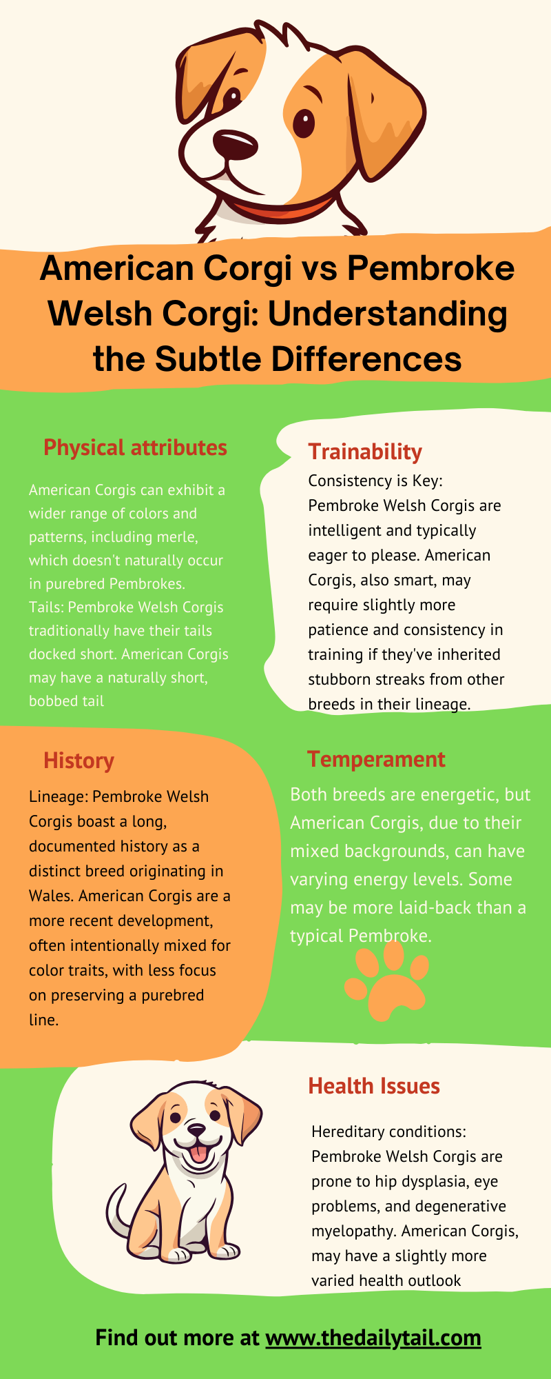 American Corgi vs Pembroke Welsch Corgi infographic