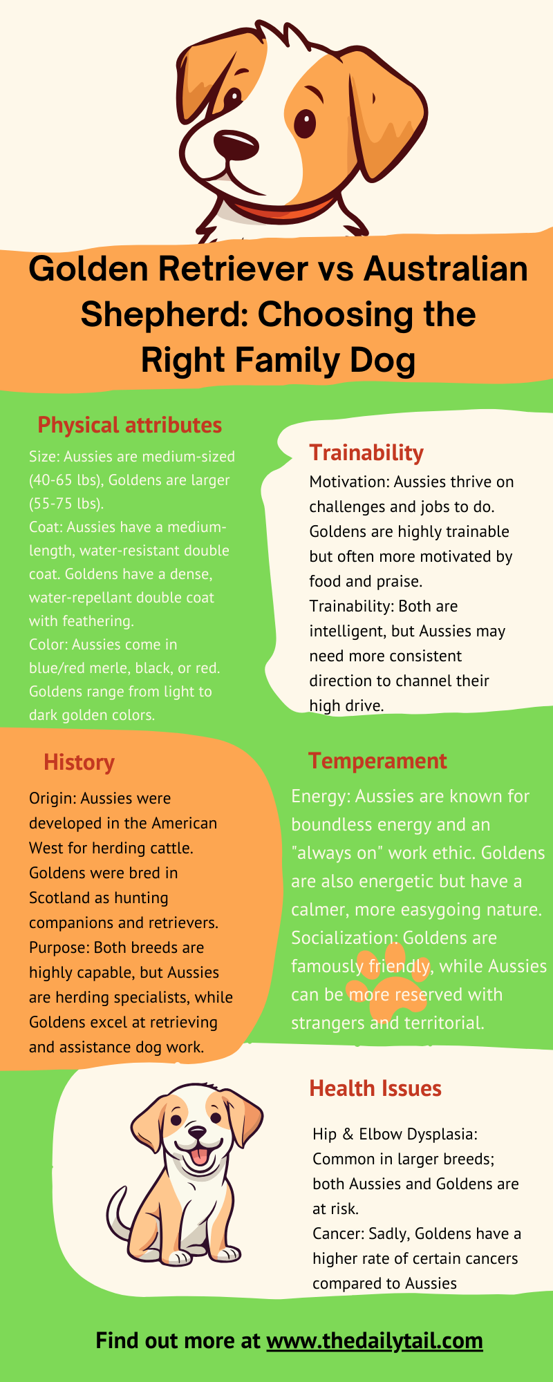 Australian Shepherd vs Golden Retriever infographic