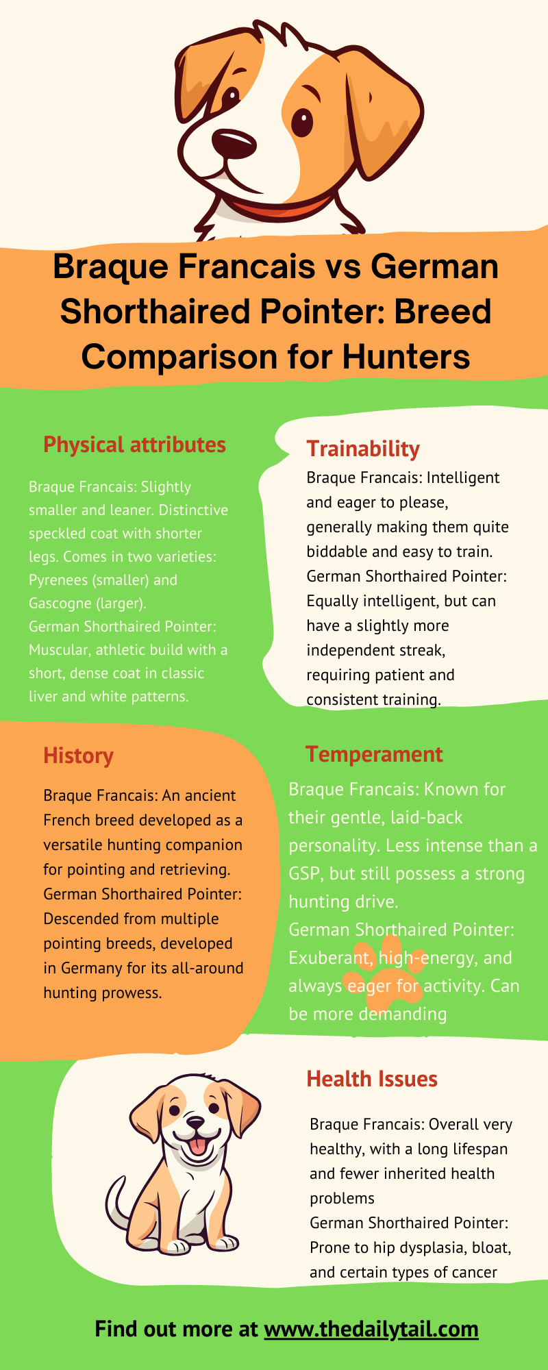 Braque Francais vs German Shorthaired Pointer infographic