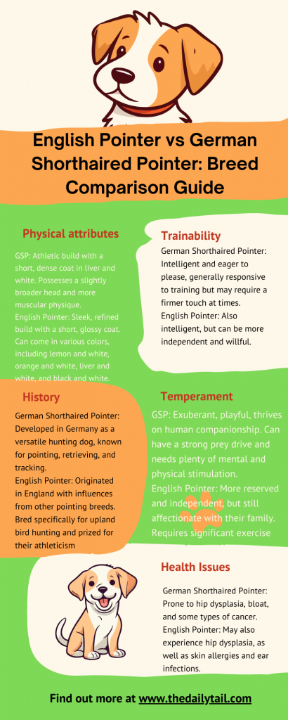 English Pointer Vs German Shorthaired Pointer: Breed Comparison Guide