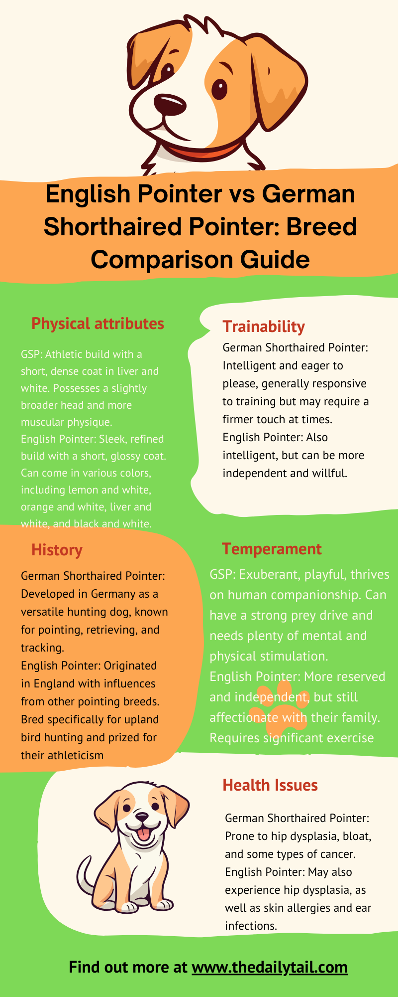 English Pointer vs German Shorthaired Pointer infographic