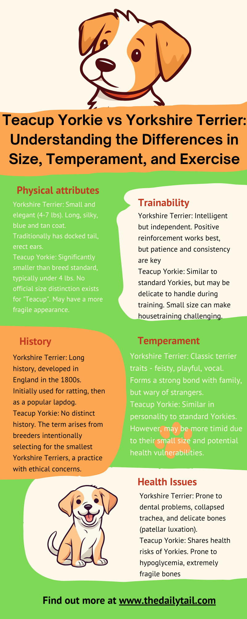 Yorkshire Terrier vs Teacup Yorkie infographic