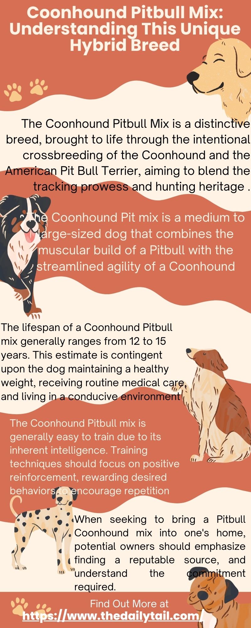 coonhound pitbull mix infographic