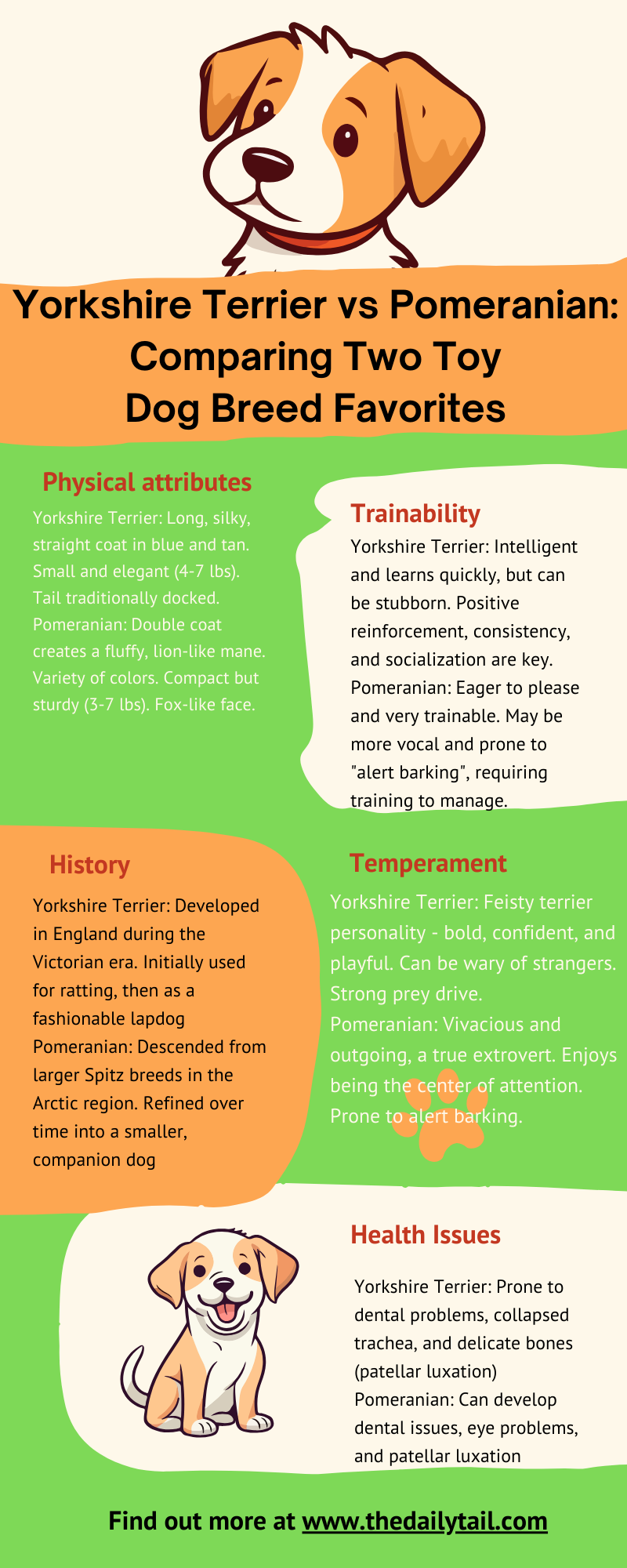 yorkshire terrier vs pomeranian infographic