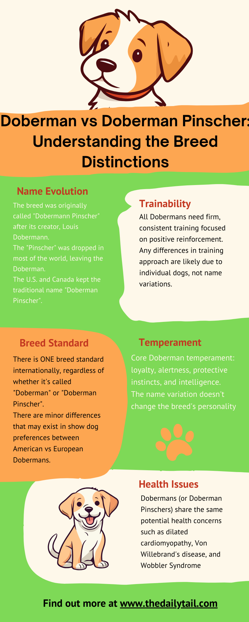 Doberman Pinscher vs Doberman infographic