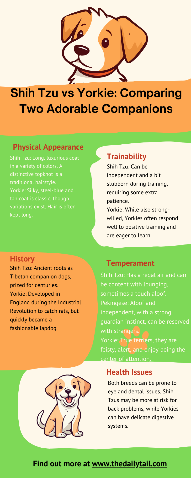 Shih Tzu vs Yorkie infographic