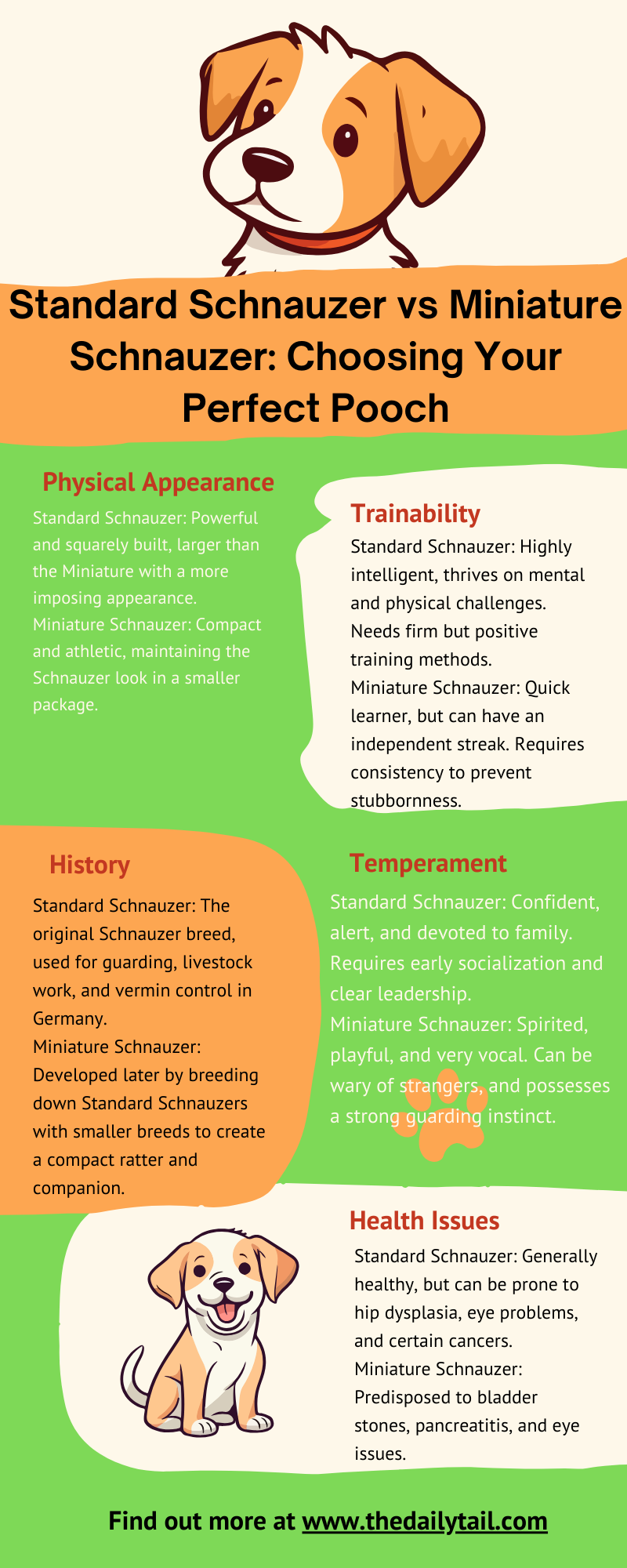 Standard Schnauzer vs Miniature Schnauzer infographic