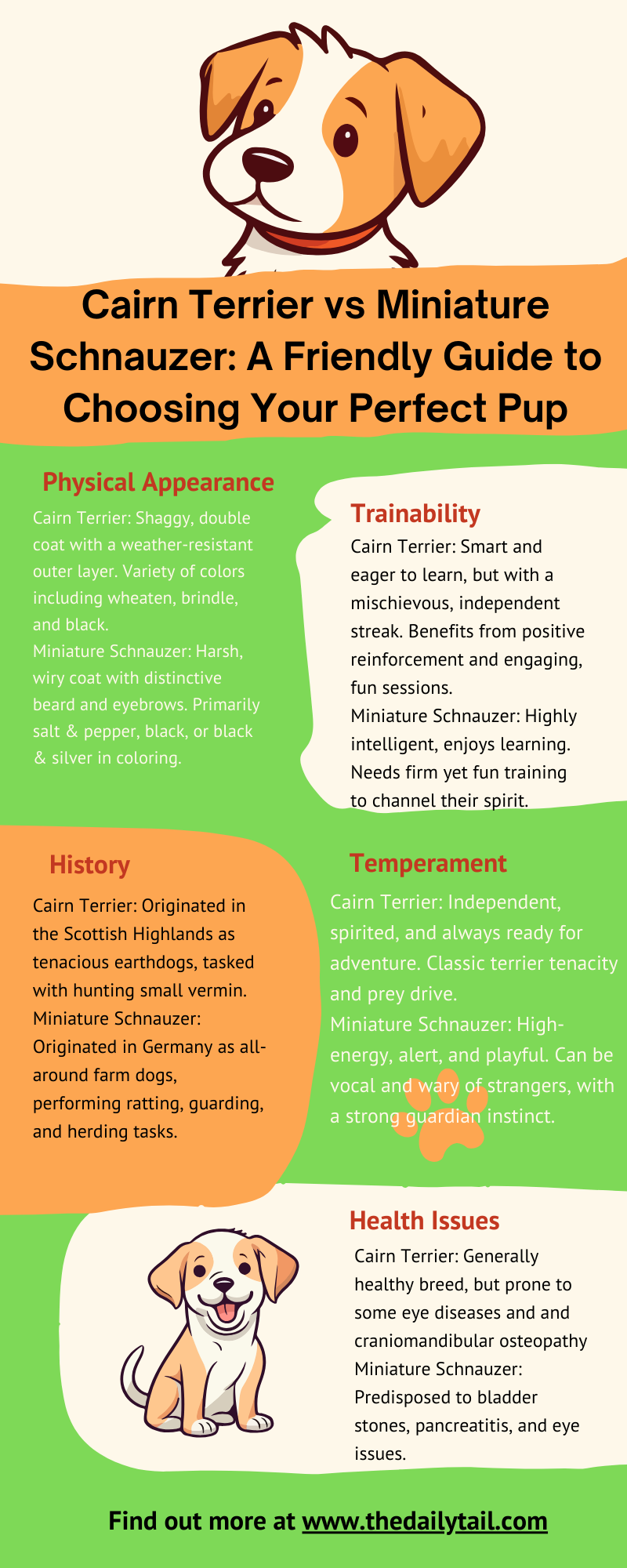 cairn terrier vs miniature schnauzer infographic