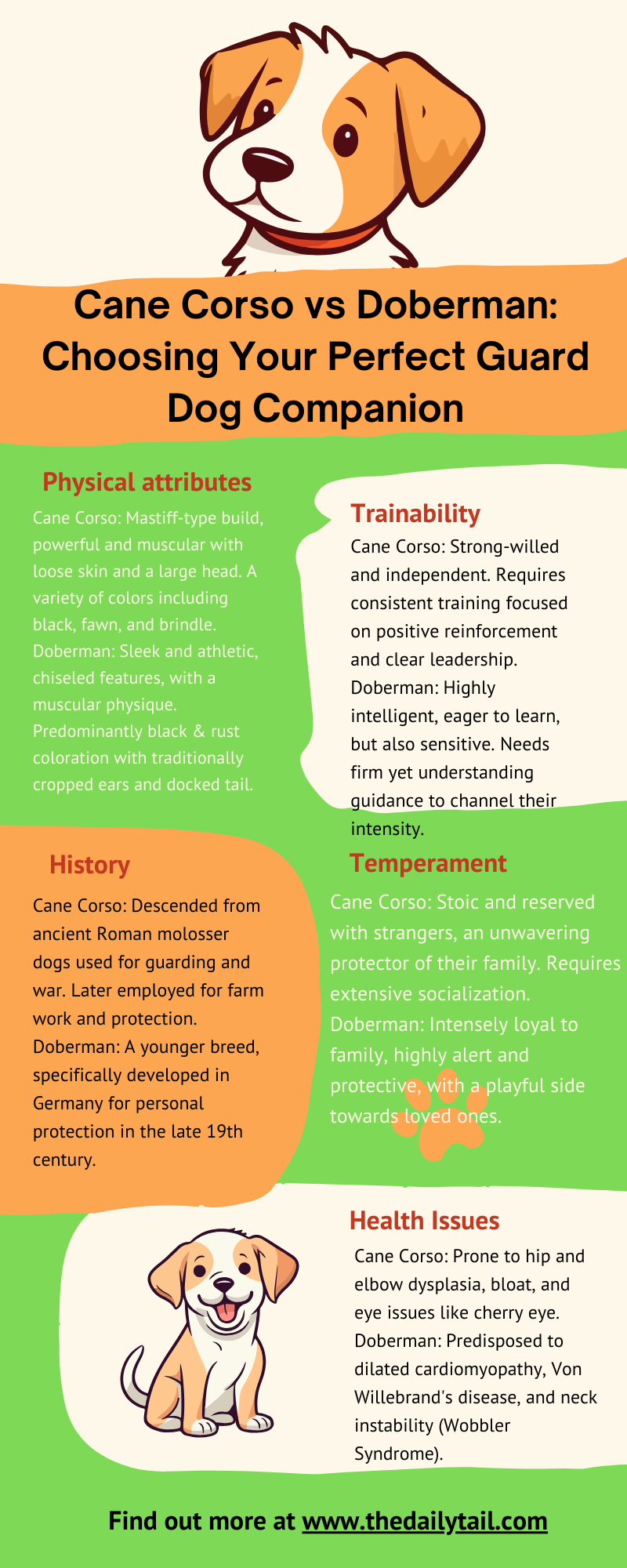 cane corso vs doberman infographic