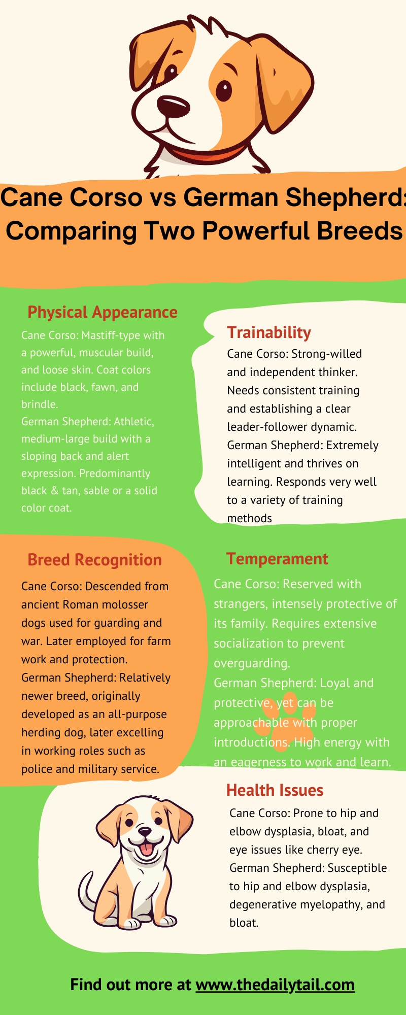 cane corso vs german shepherd infographic