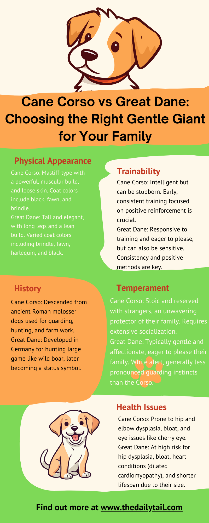 cane corso vs great dane infographic