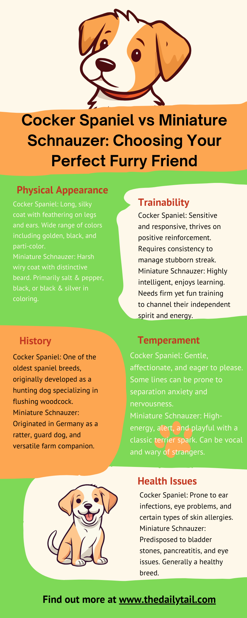 cocker spaniel vs miniature schanuzer infographic